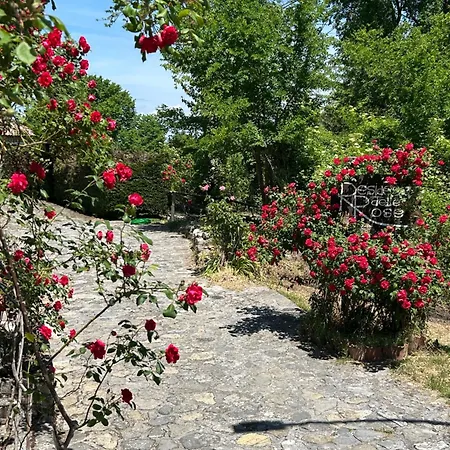 La Residenza Delle Rose Bed & Breakfast *