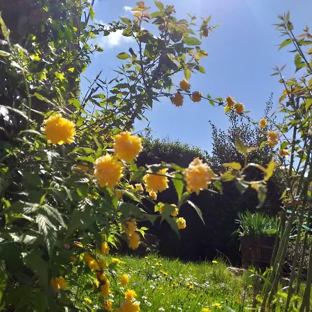 La Delle Rose Panzió *